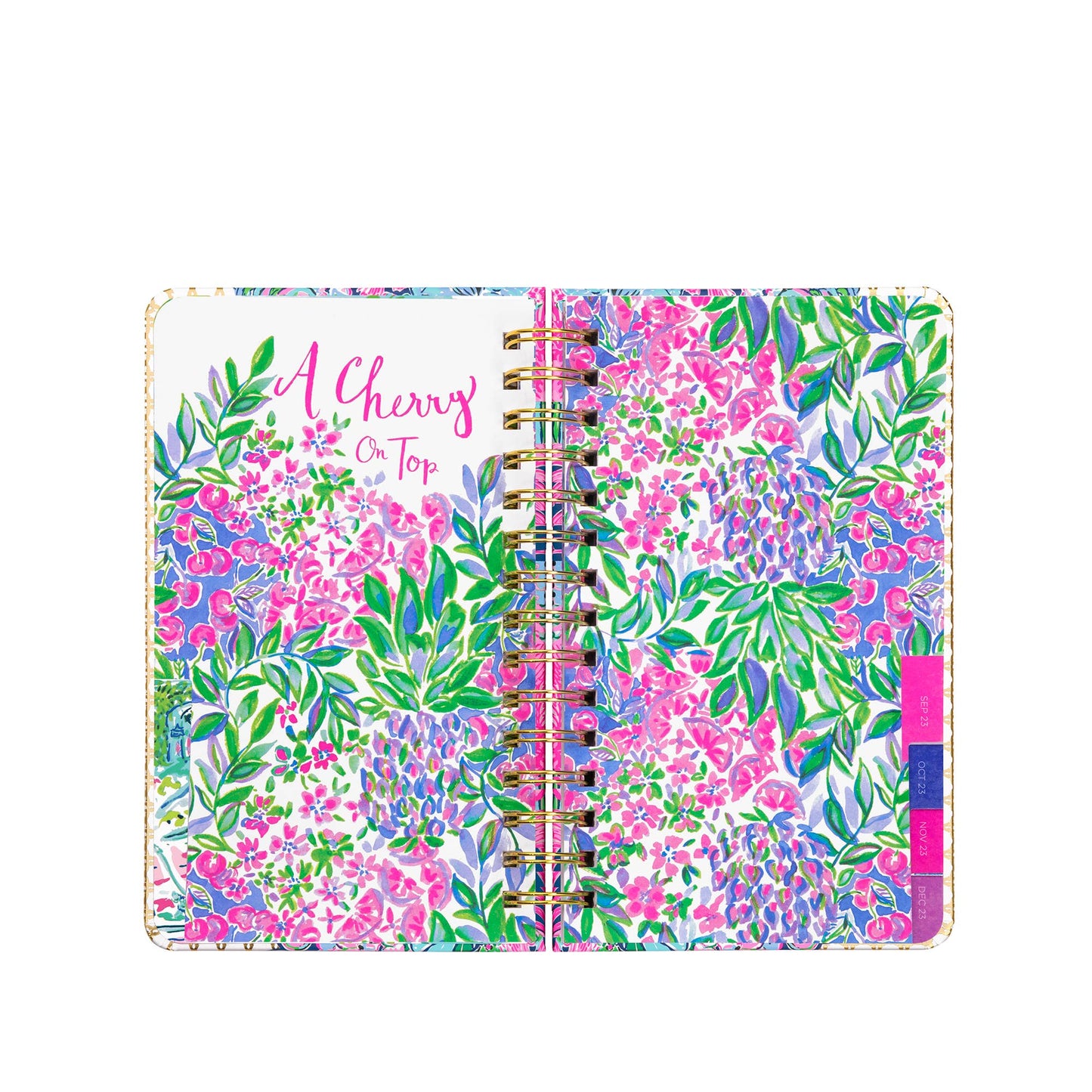 Medium 17 Month Agenda - Always Be Blooming