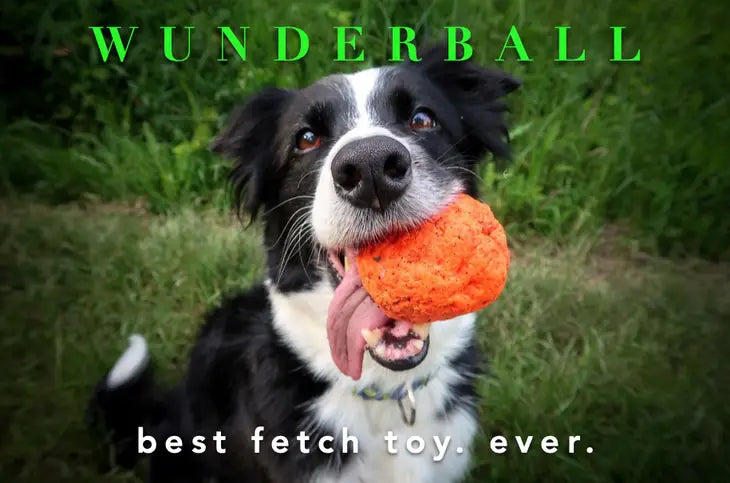 BEST FETCH TOY! WUNDERball