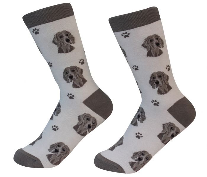 Weimaraner Socks