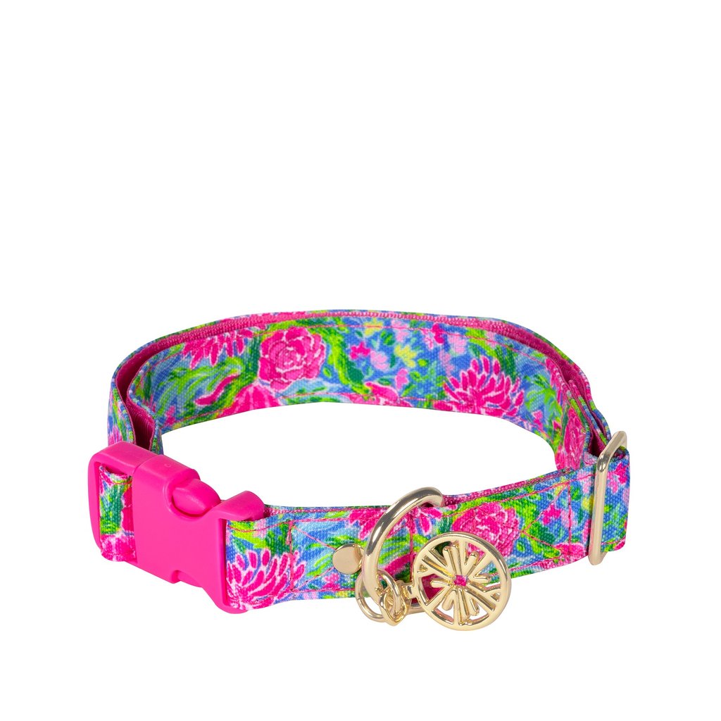 Dog Collar Bunny Business