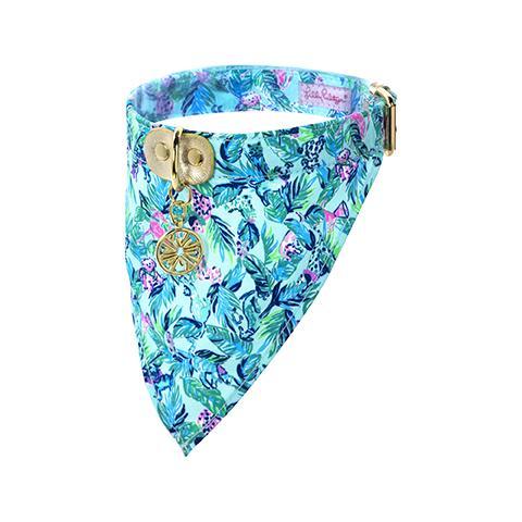 Dog Collar with Bandana