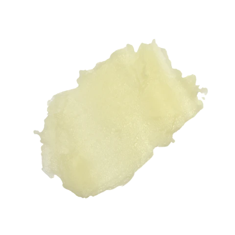 Orange Blossom Honey USDA Organic Lip Balm