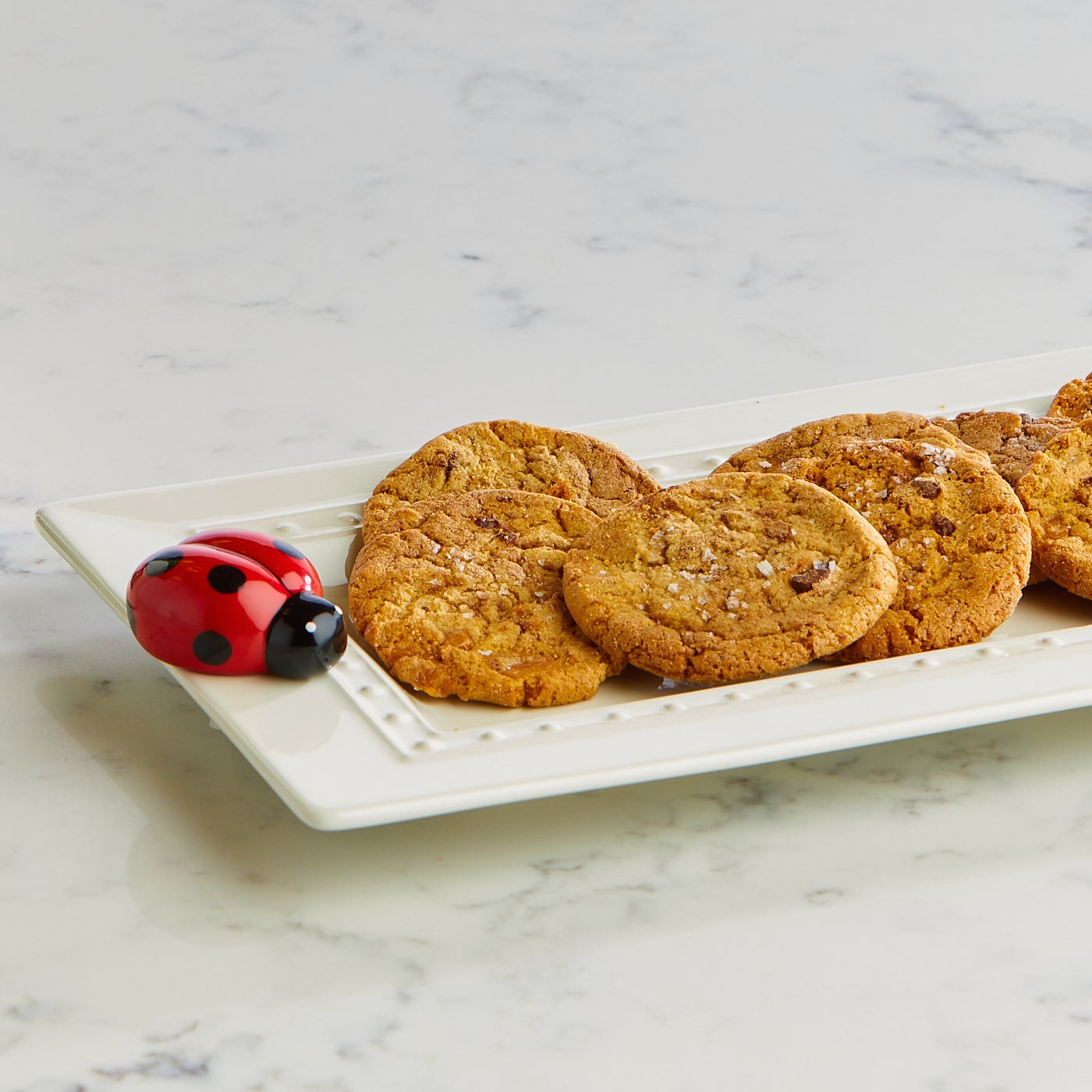 Lil' Ladybug Mini (A115)