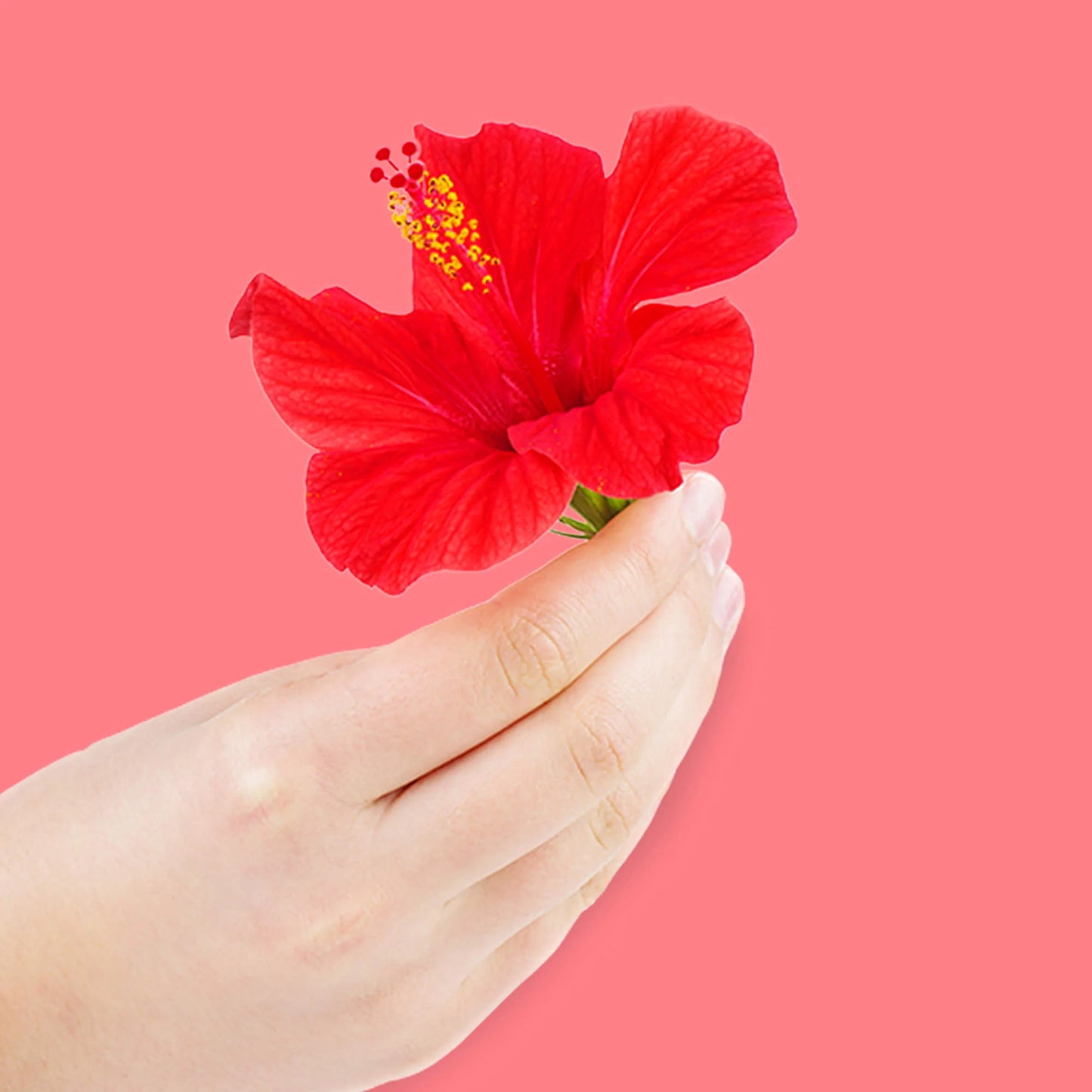 Tropical Hibiscus Toilet Spray 10ml