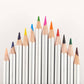 Veritas Coloring Pencils - Set of 12