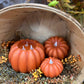 Orange Pumpkin Carved Moving Flame 4.5x2.75in