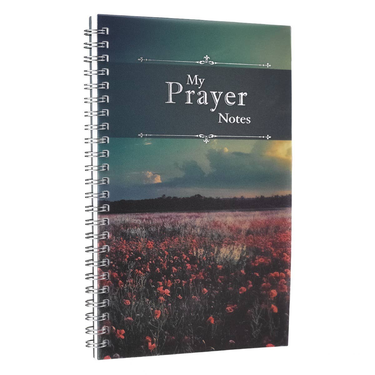 My Prayer Notes Wirebound Notebook