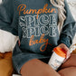 Pumpkin Spice Baby Sweatshirt