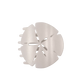 Sand Dollar Tiny Flat Hair Clip