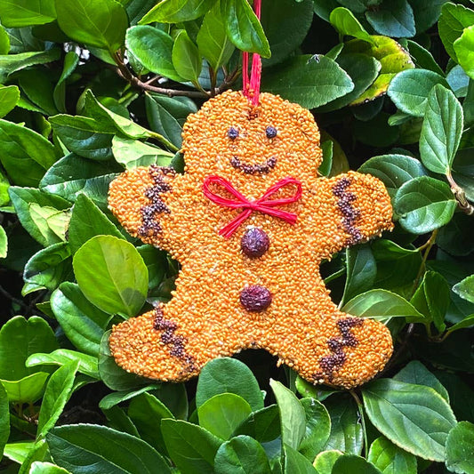 Gingerbread Man Christmas Cookie