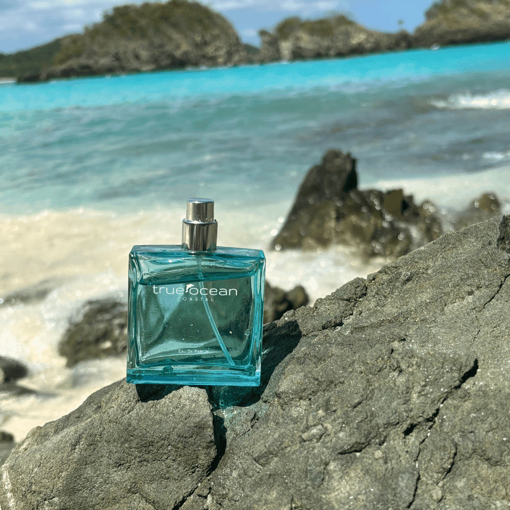 Coastal - a beach perfume