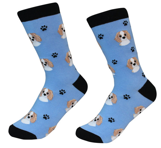 Cavalier King Charles Socks