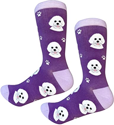 Bichon Frise Socks