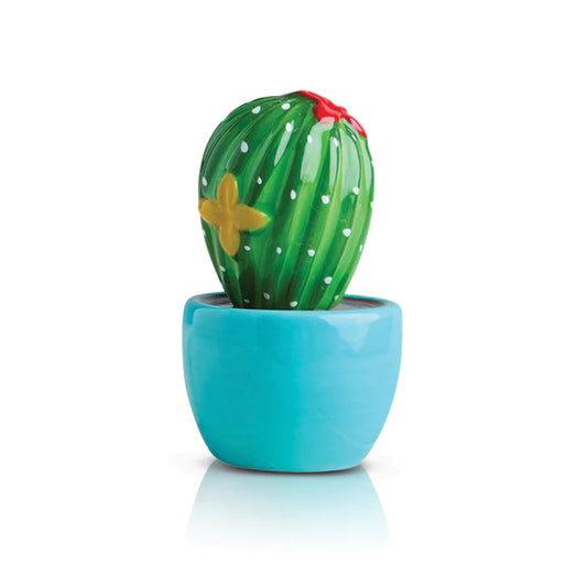 Cant Touch This - Cactus Mini (A266)