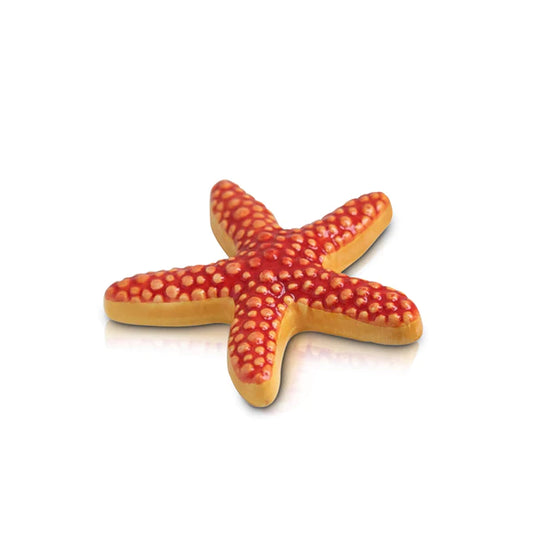 Sea Star - Starfish Mini (A66)