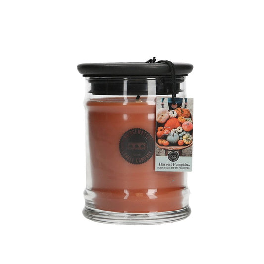 Harvest Pumpkin 8.8 oz Jar Candle