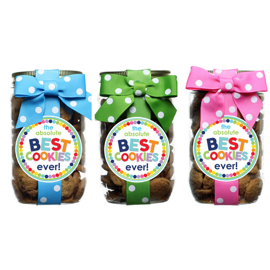 Chocolate Chip Cookies - Rainbow Dot Best Cookies - Pint Jar